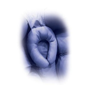 Horseshoe Neck Support